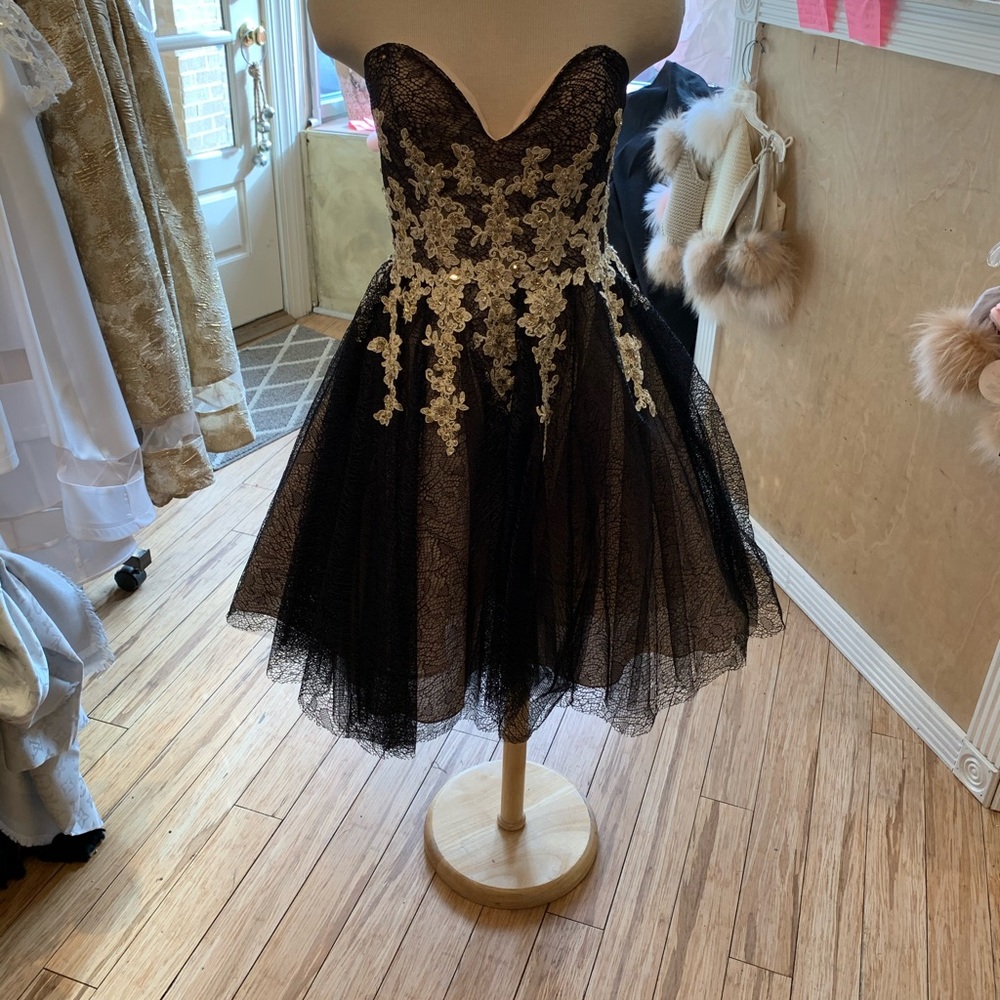 Terani dress